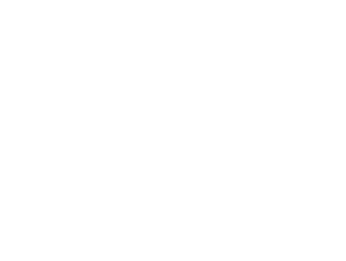 lindaorganizasyon Twitter logo