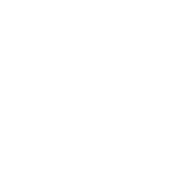 lindaorganizasyon facebook logo