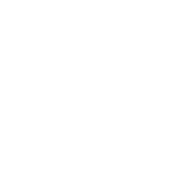 lindaorganizasyon instagram logo